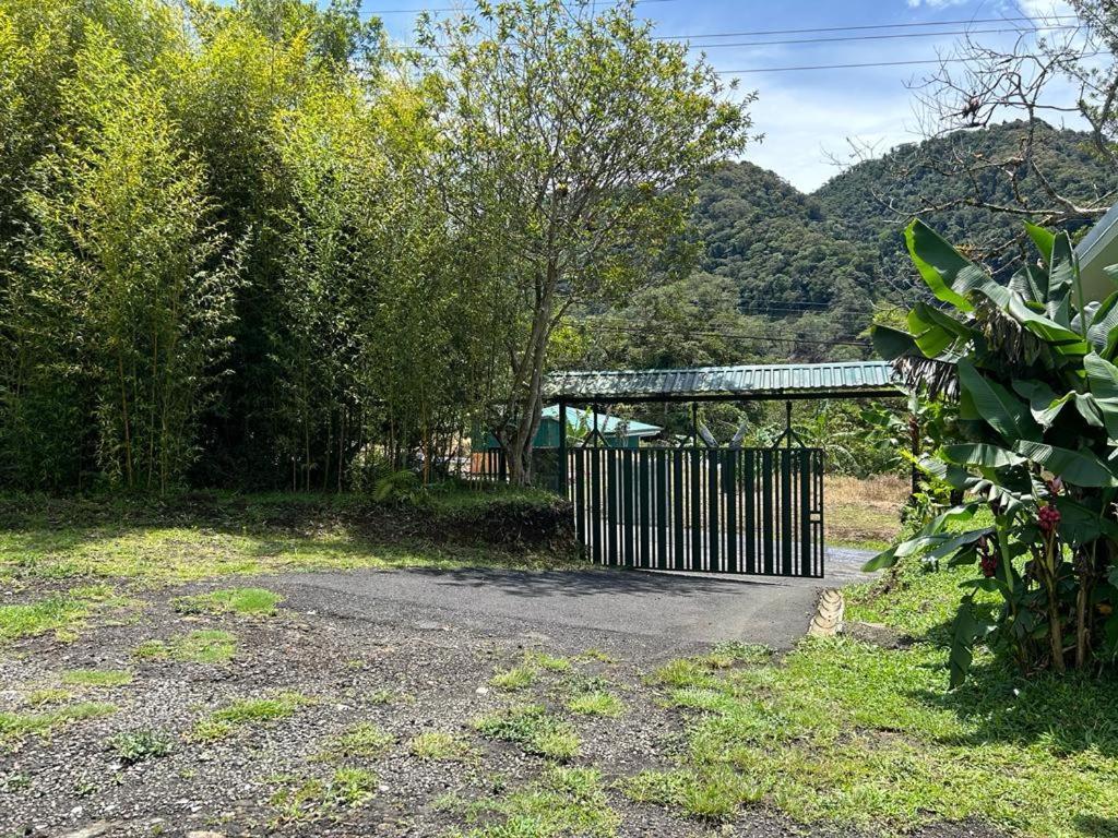 Selvatica Del Toro Apartment Bajos del Toro Bagian luar foto