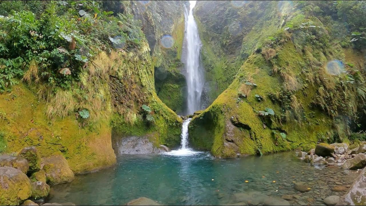 Selvatica Del Toro Apartment Bajos del Toro Bagian luar foto