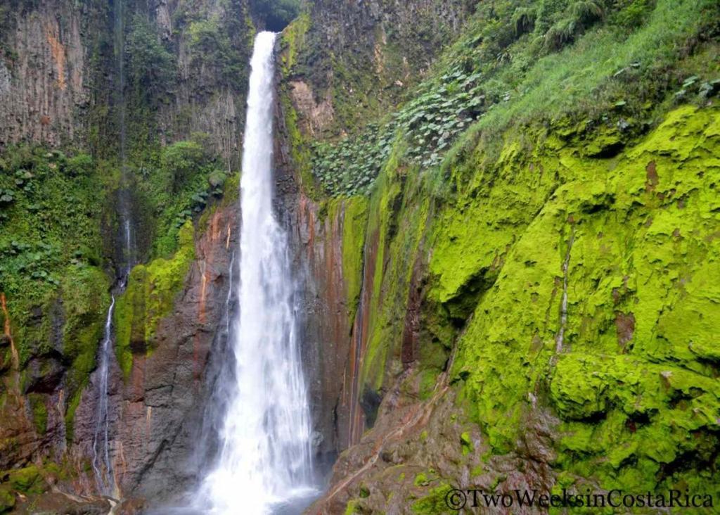 Selvatica Del Toro Apartment Bajos del Toro Bagian luar foto