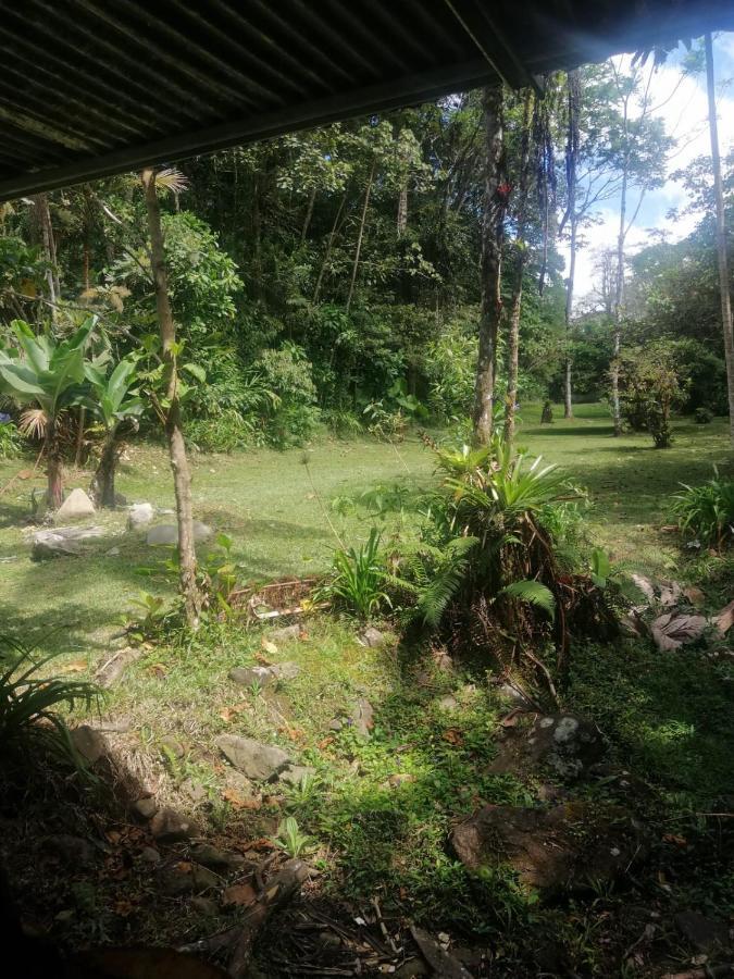 Selvatica Del Toro Apartment Bajos del Toro Bagian luar foto
